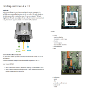 Guía Técnica Especializada: Circuitos y Componentes Internos de la ECU